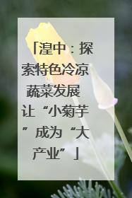 湟中：探索特色冷凉蔬菜发展 让“小菊芋”成为“大产业”