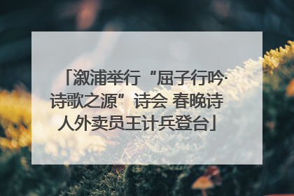溆浦举行“屈子行吟·诗歌之源”诗会 春晚诗人外卖员王计兵登台