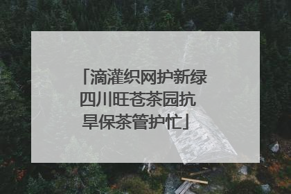 滴灌织网护新绿 四川旺苍茶园抗旱保茶管护忙