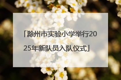 滁州市实验小学举行2025年新队员入队仪式