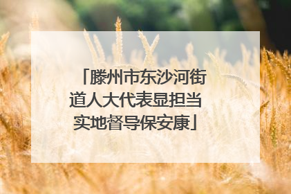 滕州市东沙河街道人大代表显担当实地督导保安康