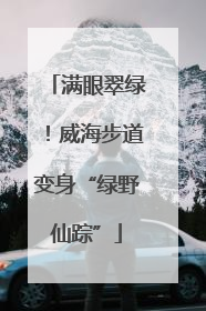 满眼翠绿！威海步道变身“绿野仙踪”