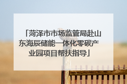 菏泽市市场监管局赴山东海辰储能一体化零碳产业园项目帮扶指导