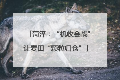 菏泽：“机收会战”让麦田“颗粒归仓”