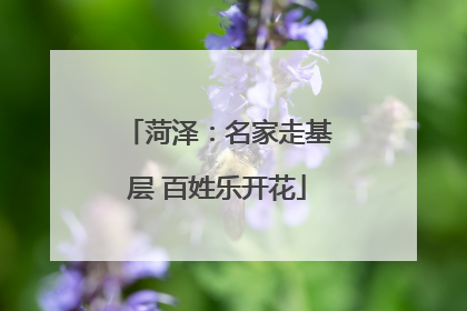 菏泽：名家走基层 百姓乐开花