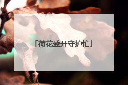 荷花盛开守护忙