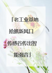 老工业基地抢抓新风口 传感谷传出智能强音