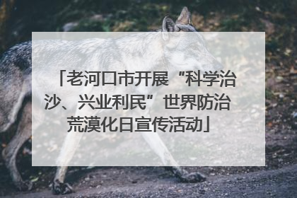老河口市开展“科学治沙、兴业利民”世界防治荒漠化日宣传活动