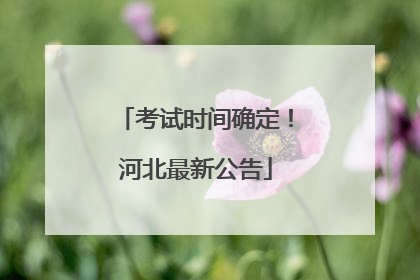 考试时间确定！河北最新公告
