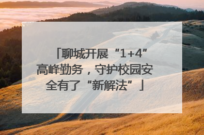 聊城开展“1+4”高峰勤务，守护校园安全有了“新解法”