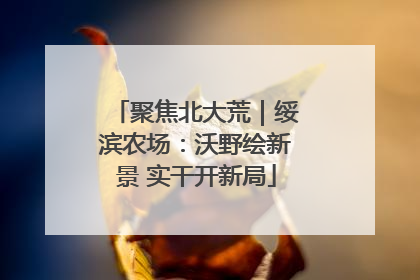 聚焦北大荒｜绥滨农场：沃野绘新景 实干开新局