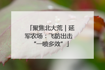 聚焦北大荒｜延军农场：飞防出击 “一喷多效”