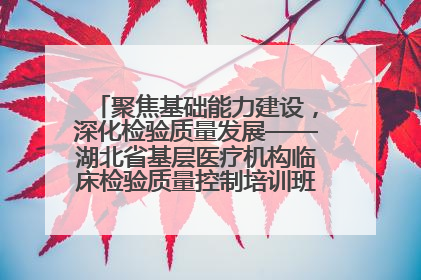 聚焦基础能力建设，深化检验质量发展——湖北省基层医疗机构临床检验质量控制培训班（孝感站）成功举办