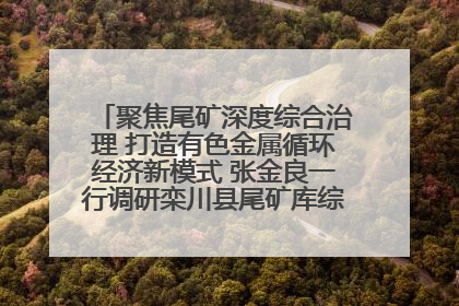 聚焦尾矿深度综合治理 打造有色金属循环经济新模式 张金良一行调研栾川县尾矿库综合治理工作