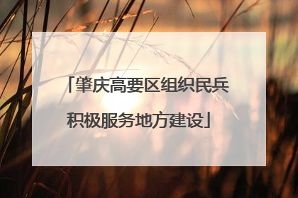 肇庆高要区组织民兵积极服务地方建设