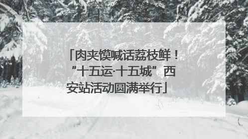 肉夹馍喊话荔枝鲜！“十五运·十五城”西安站活动圆满举行