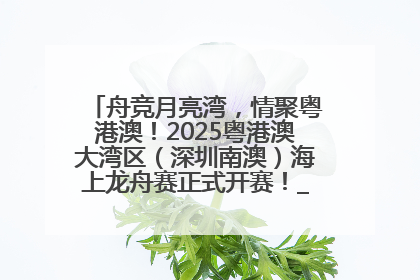 舟竞月亮湾，情聚粤港澳！2025粤港澳大湾区（深圳南澳）海上龙舟赛正式开赛！_深圳新闻网