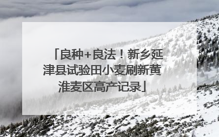良种+良法！新乡延津县试验田小麦刷新黄淮麦区高产记录