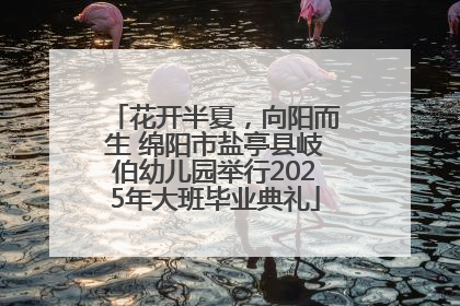 花开半夏，向阳而生 绵阳市盐亭县岐伯幼儿园举行2025年大班毕业典礼