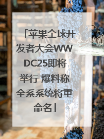 苹果全球开发者大会WWDC25即将举行 爆料称全系系统将重命名