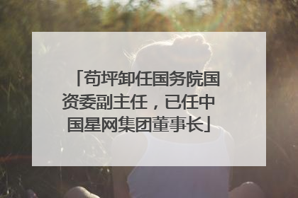 苟坪卸任国务院国资委副主任，已任中国星网集团董事长