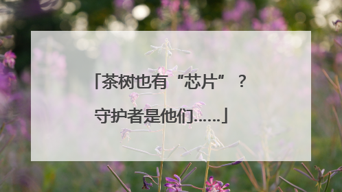 茶树也有“芯片”？守护者是他们……