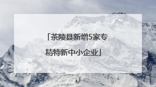 茶陵县新增5家专精特新中小企业