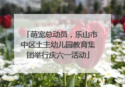 萌宠总动员，乐山市中区土主幼儿园教育集团举行庆六一活动