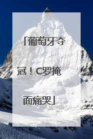 葡萄牙夺冠！C罗掩面痛哭