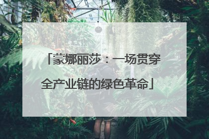 蒙娜丽莎：一场贯穿全产业链的绿色革命