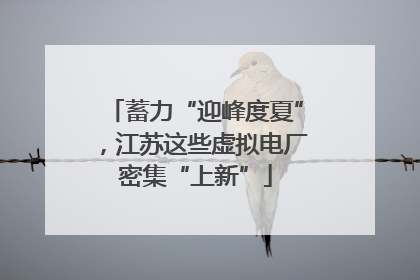 蓄力“迎峰度夏”，江苏这些虚拟电厂密集“上新”