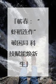 蕲春：“虾稻连作”破困局 科技赋能焕新生