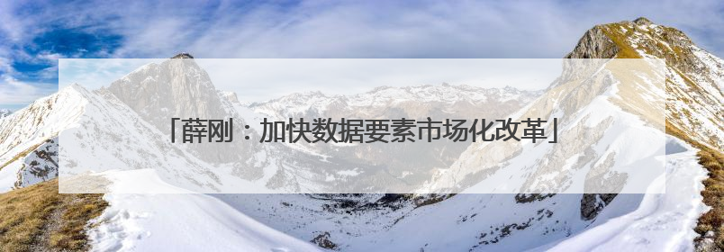 薛刚：加快数据要素市场化改革