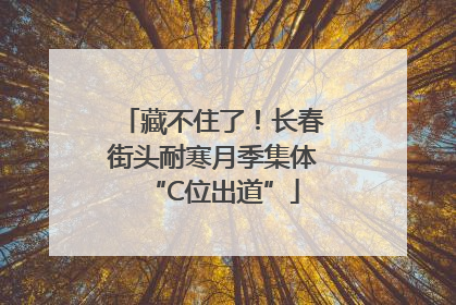 藏不住了！长春街头耐寒月季集体“C位出道”