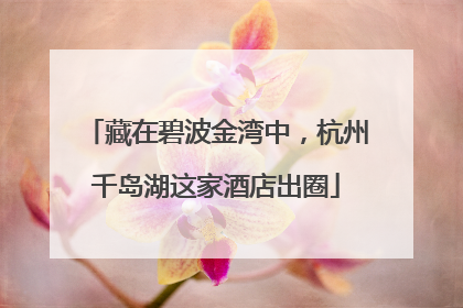 藏在碧波金湾中，杭州千岛湖这家酒店出圈