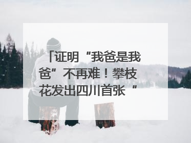 证明“我爸是我爸”不再难！攀枝花发出四川首张“户籍人口直系亲属关系谱”