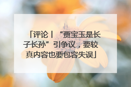 评论丨“贾宝玉是长子长孙”引争议，要较真内容也要包容失误