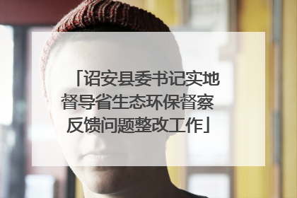 诏安县委书记实地督导省生态环保督察反馈问题整改工作