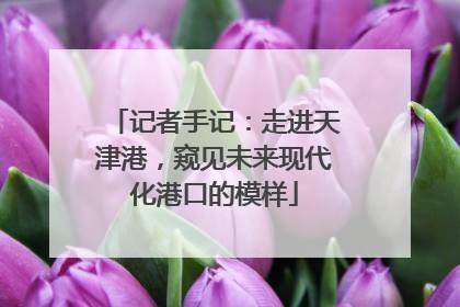 记者手记：走进天津港，窥见未来现代化港口的模样