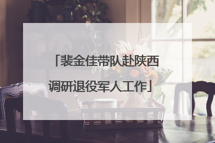 裴金佳带队赴陕西调研退役军人工作