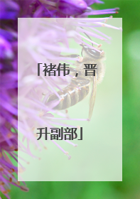 褚伟，晋升副部