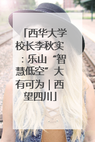 西华大学校长李秋实：乐山“智慧低空”大有可为｜西望四川
