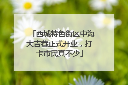 西城特色街区中海大吉巷正式开业，打卡市民真不少