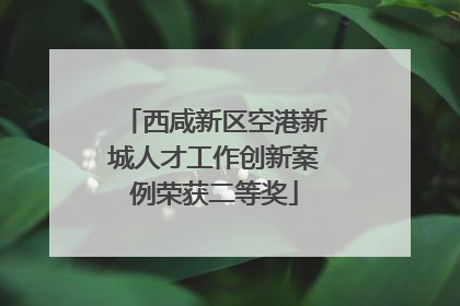 西咸新区空港新城人才工作创新案例荣获二等奖