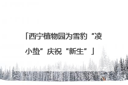 西宁植物园为雪豹“凌小蛰”庆祝“新生”