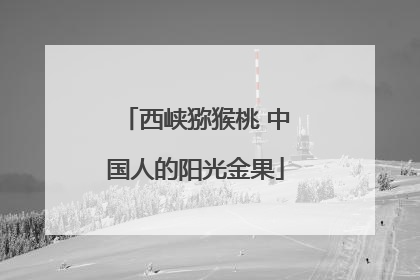西峡猕猴桃 中国人的阳光金果