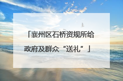襄州区石桥资规所给政府及群众“送礼”