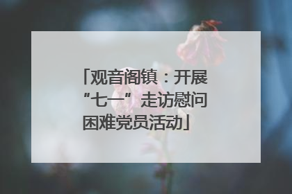 观音阁镇：开展“七一”走访慰问困难党员活动