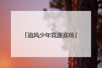 追风少年竞逐赛场