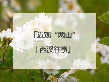 近观“两山”丨西溪往事